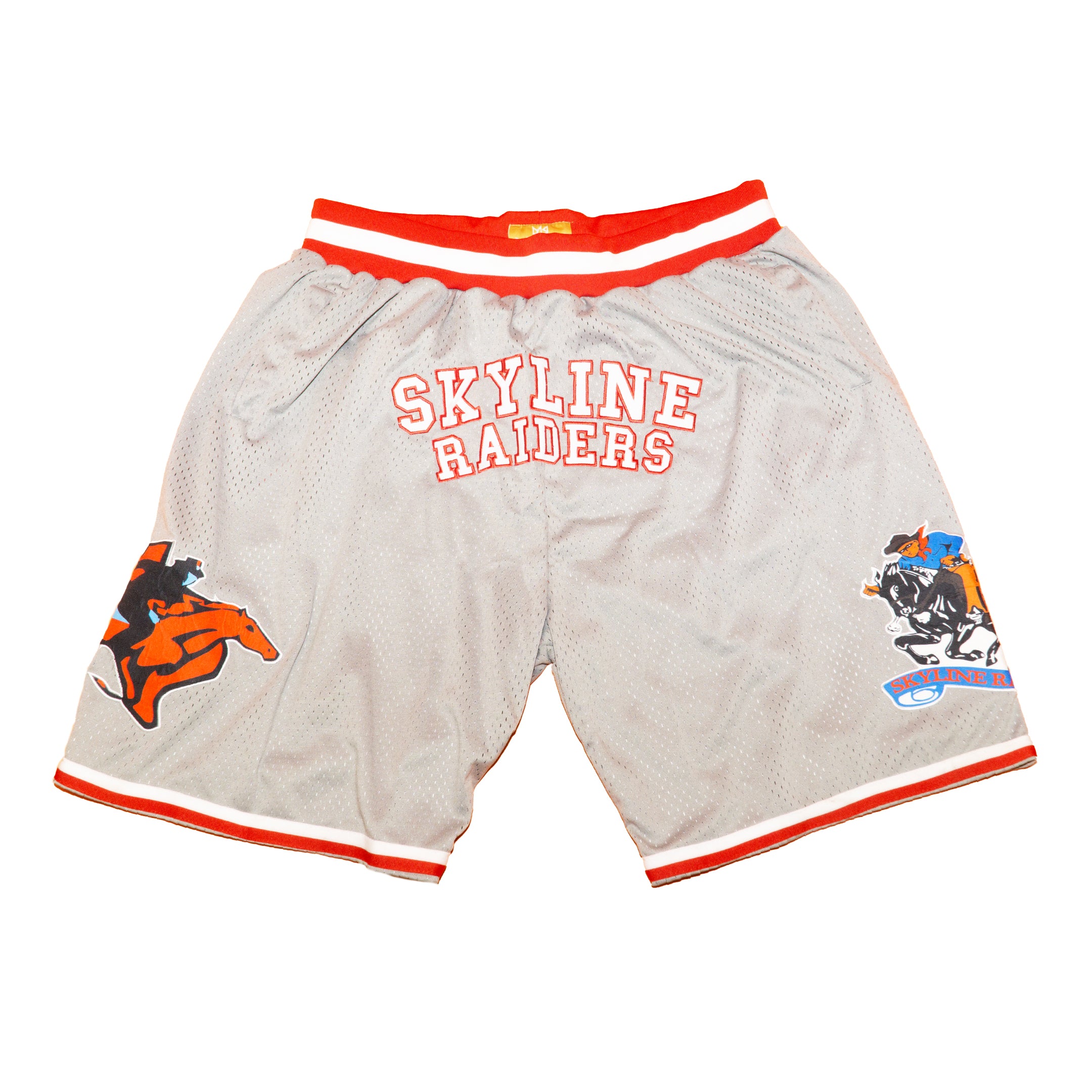 DALLAS SKYLINE BASKETBALL SHORTS GREY