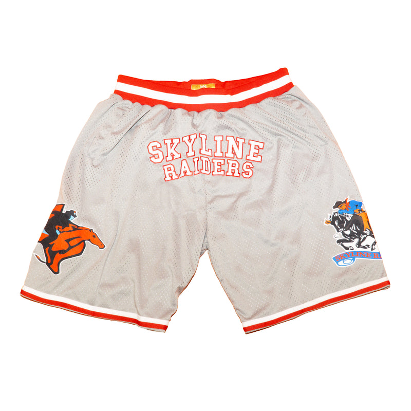 DALLAS SKYLINE BASKETBALL SHORTS GREY